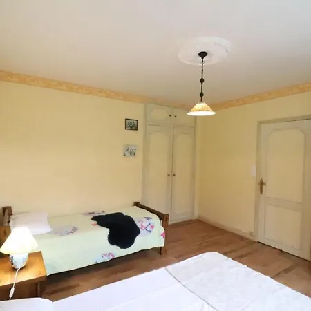 Maison De Caractere Avec Jardin, 5 Pers., - Parc Des Volcans D'auvergne - Fr-1-742-117 *